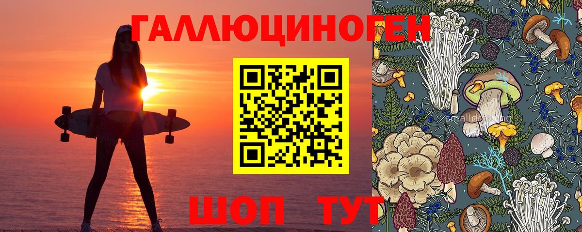 Галлюциногенные грибы ЛСД Бердск