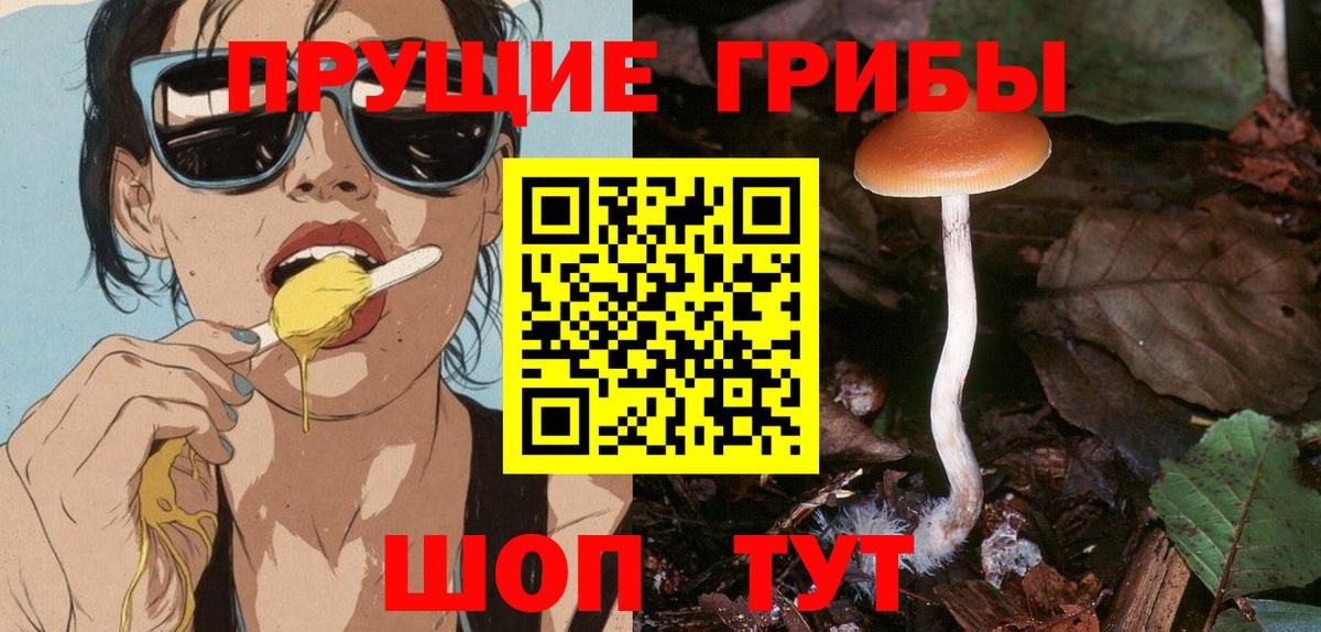 Псилоцибиновые грибы MAGIC MUSHROOMS  Псилоцибиновые грибы MAGIC MUSHROOMS  наркотики  Бердск  Вход с VPN 